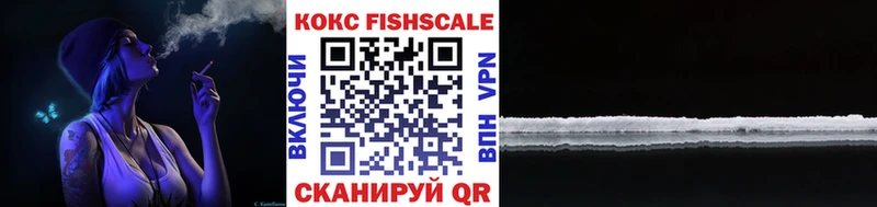 Кокаин Fish Scale  закладки  Каменногорск 